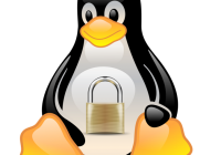 selinux picture