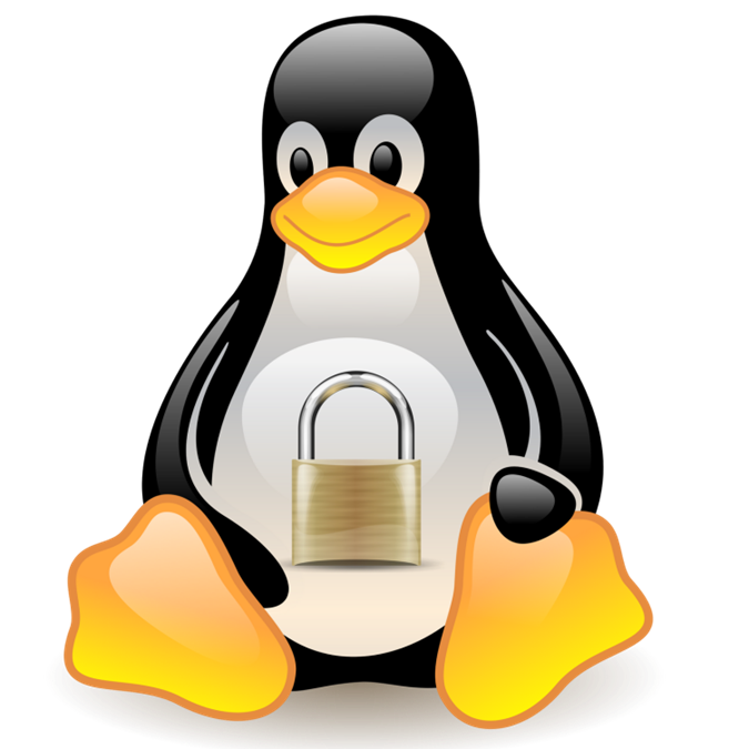 selinux picture